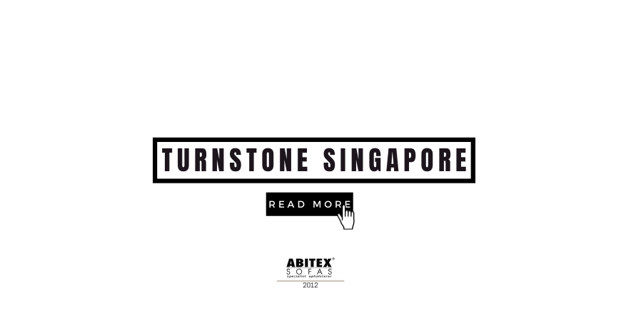 Turnstone Singapore (2016)