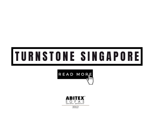 Turnstone Singapore (2016)