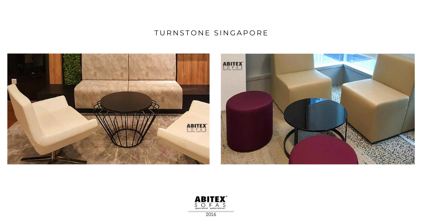 Turnstone Singapore (2016)