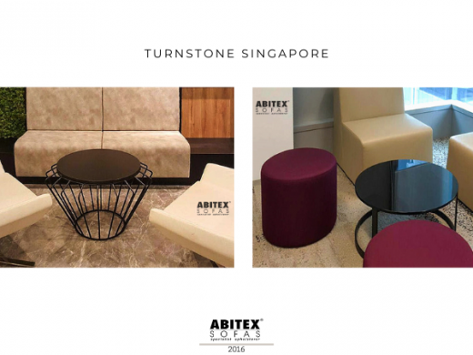 Turnstone Singapore (2016)