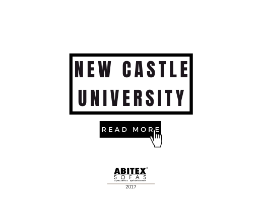 New Castle University (2017)